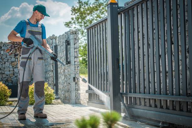 Best Boat and Dock Cleaning  in Mallory, WV